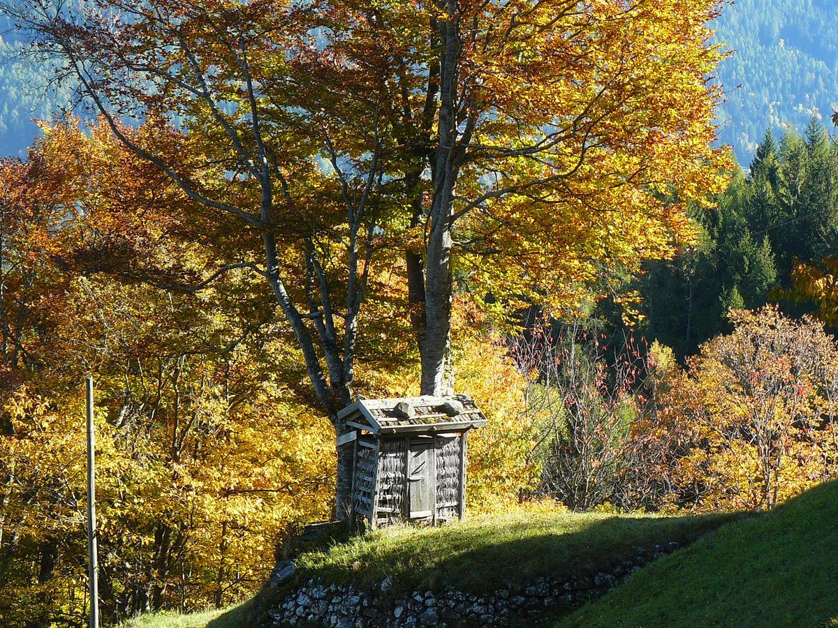 Vila Baita Cavecia Sant'Orsola Exteriér fotografie